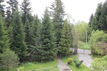 Фотографии Гостевой дом Cottage Kazka Lisu г. Сходница (Украина) №3 Фото Гостевой дом Cottage Kazka Lisu г. Сходница 3